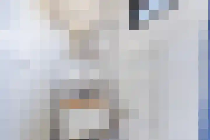 Swaalingestraat 3 Zoutelande thumbnail 15