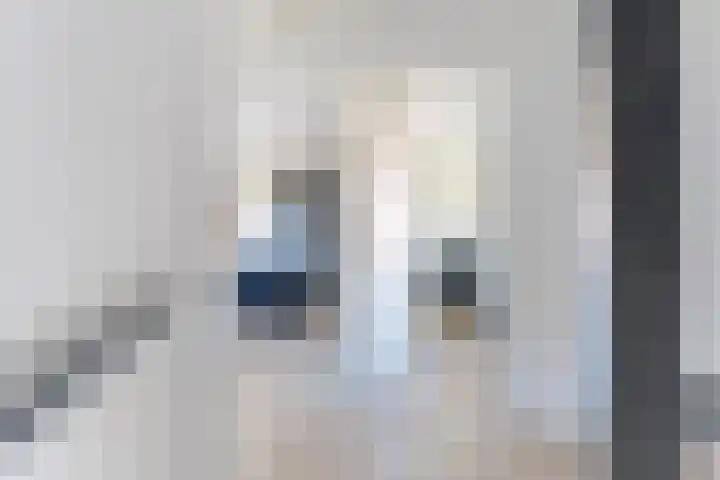 Swaalingestraat 3 Zoutelande thumbnail 16