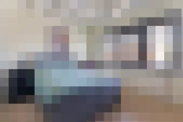 Swaalingestraat 3 Zoutelande thumbnail 17