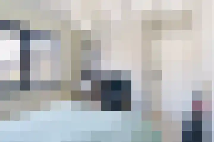 Swaalingestraat 3 Zoutelande thumbnail 18