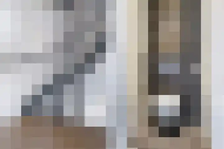 Swaalingestraat 3 Zoutelande thumbnail 20