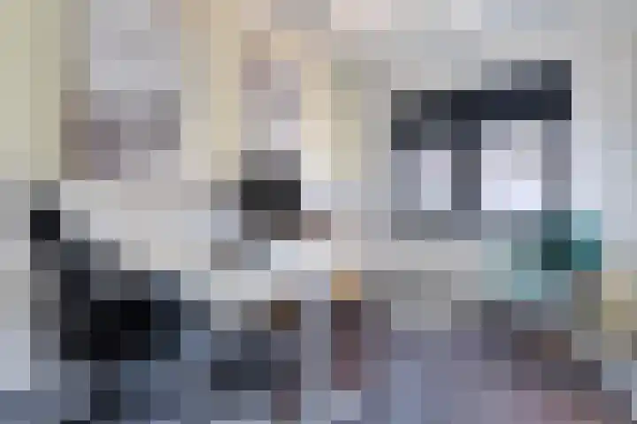 Swaalingestraat 3 Zoutelande thumbnail 21