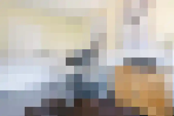 Swaalingestraat 3 Zoutelande thumbnail 22