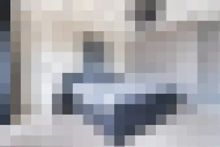 Swaalingestraat 3 Zoutelande thumbnail 23