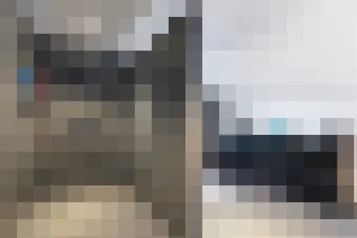 Swaalingestraat 3 Zoutelande thumbnail 25