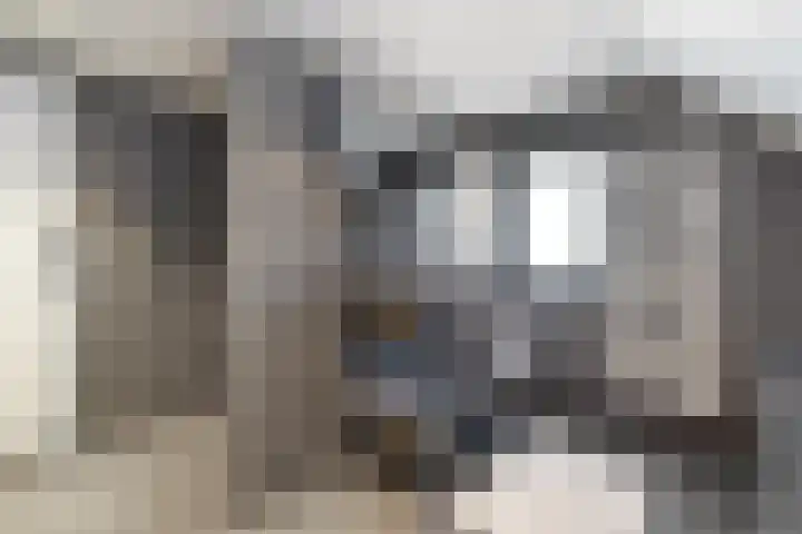 Swaalingestraat 3 Zoutelande thumbnail 26
