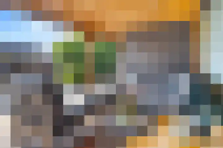 Swaalingestraat 3 Zoutelande thumbnail 34