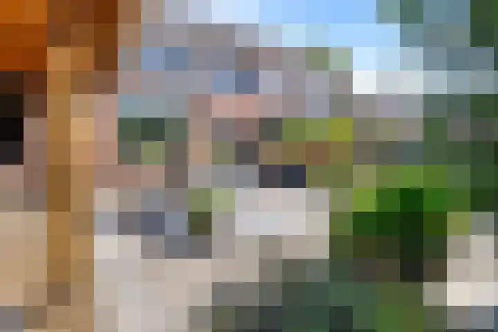 Swaalingestraat 3 Zoutelande thumbnail 35