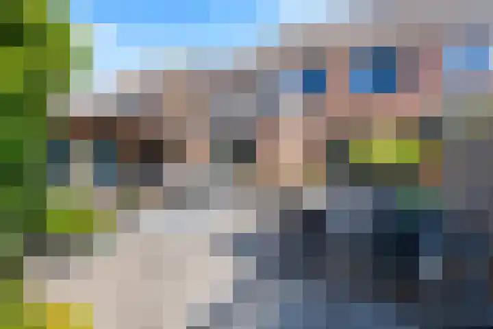 Swaalingestraat 3 Zoutelande thumbnail 36