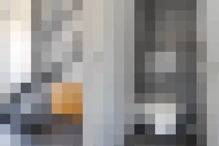 Swaalingestraat 3 Zoutelande thumbnail 4