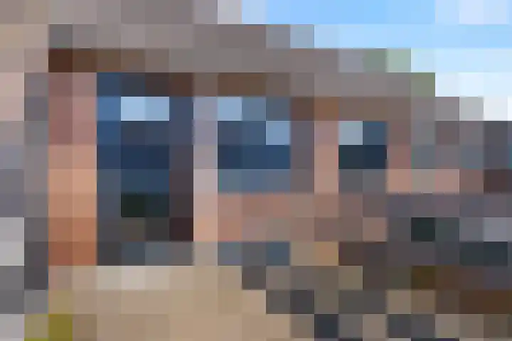 Swaalingestraat 3 Zoutelande thumbnail 40