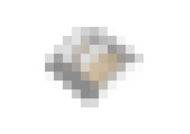Swaalingestraat 3 Zoutelande thumbnail 46
