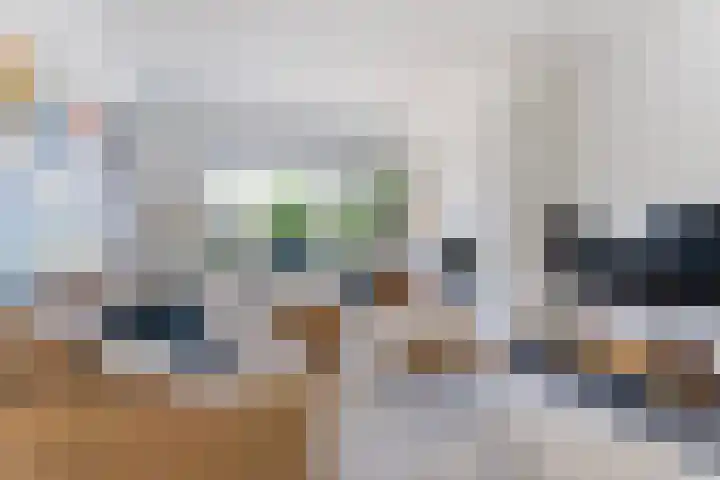 Swaalingestraat 3 Zoutelande thumbnail 6