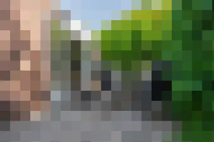 Swaalingestraat 48 Zoutelande thumbnail 38
