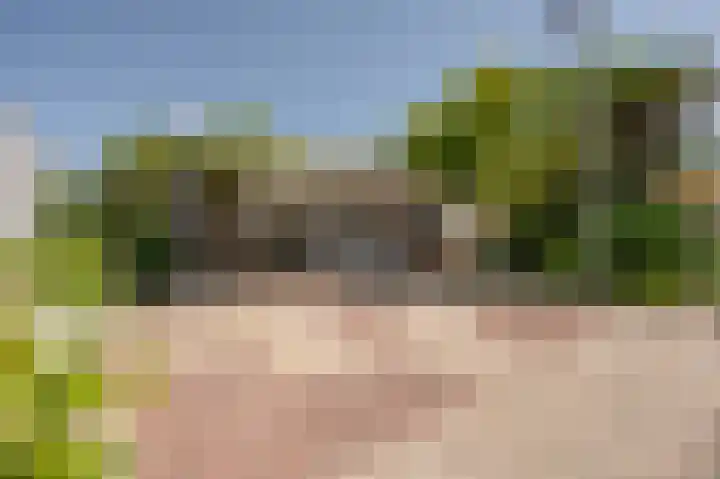 Swaalingestraat 48 Zoutelande thumbnail 4