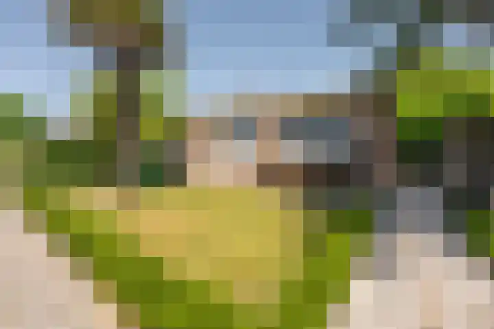 Swaalingestraat 48 Zoutelande thumbnail 6