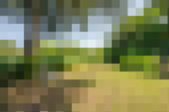 Swaalingestraat 48 Zoutelande thumbnail 8