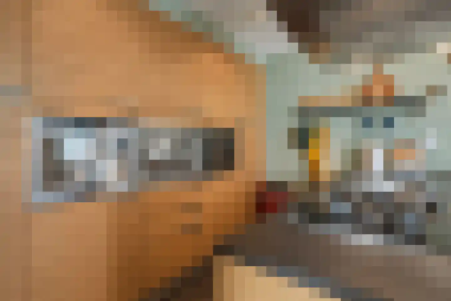 Swaalingestraat 91 Zoutelande thumbnail 12