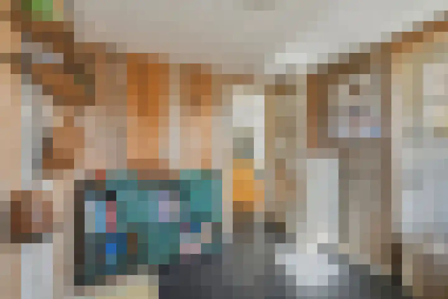 Swaalingestraat 91 Zoutelande thumbnail 13