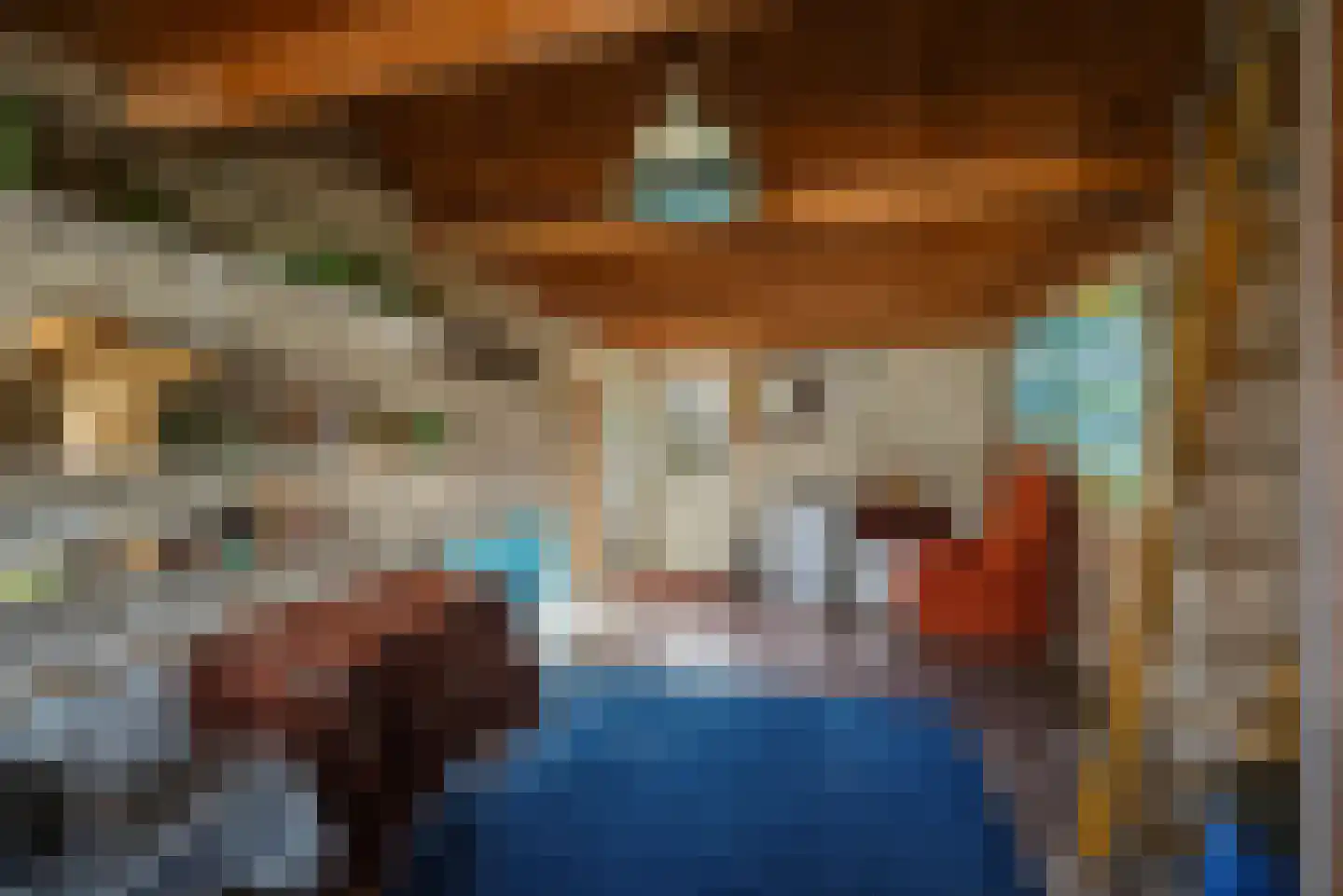 Swaalingestraat 91 Zoutelande thumbnail 17