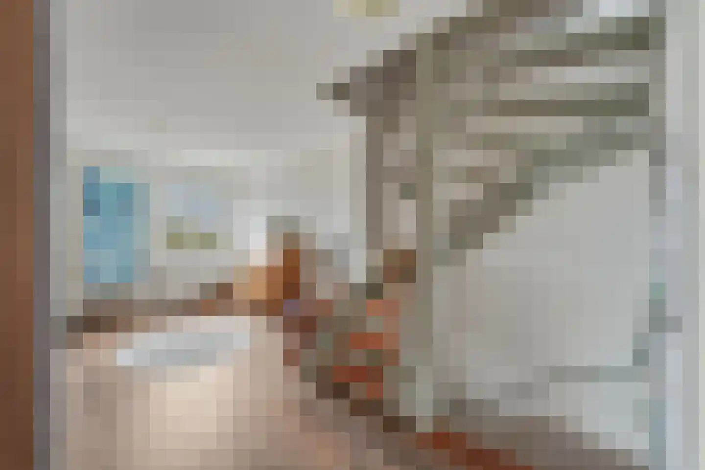 Swaalingestraat 91 Zoutelande thumbnail 18