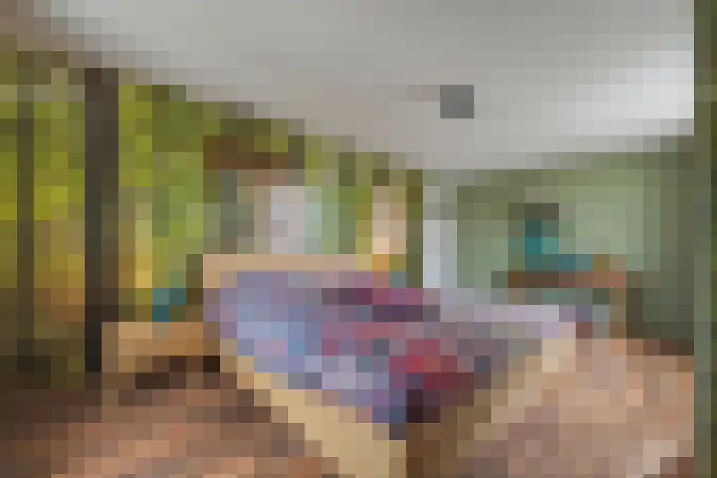 Swaalingestraat 91 Zoutelande thumbnail 20