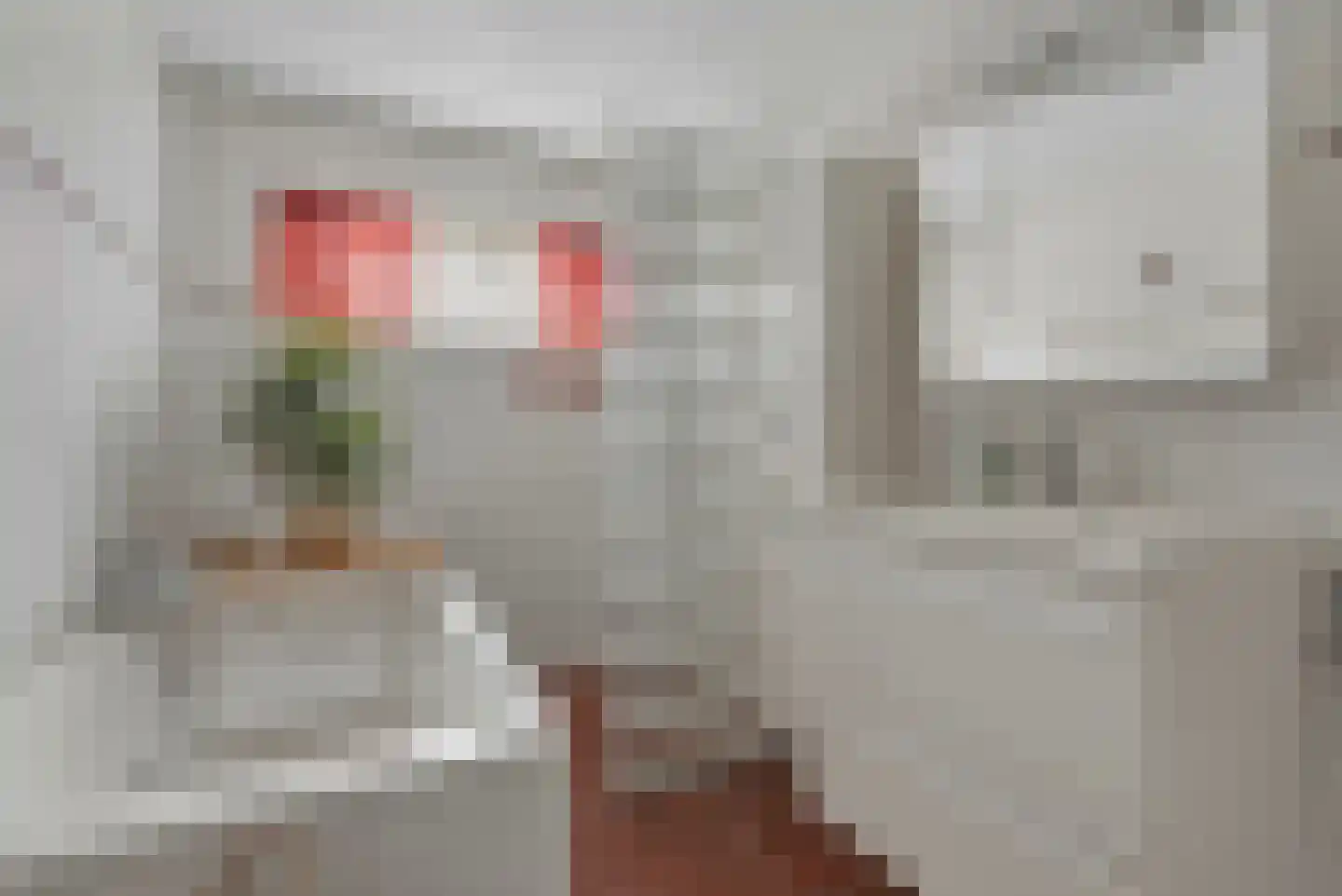 Swaalingestraat 91 Zoutelande thumbnail 23