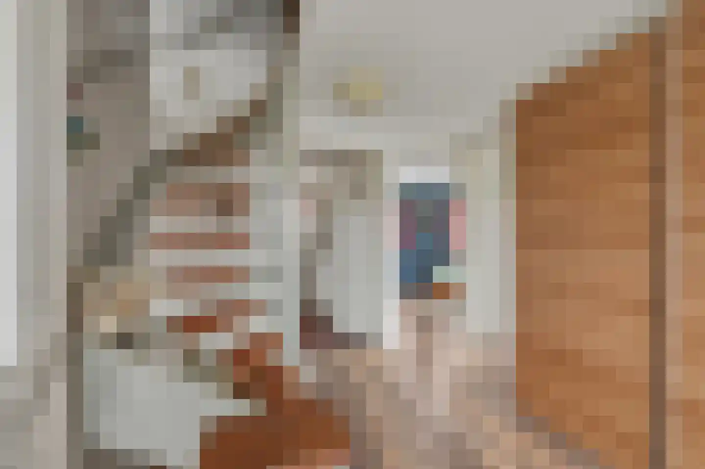 Swaalingestraat 91 Zoutelande thumbnail 27