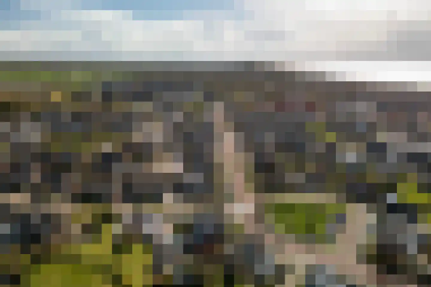 Swaalingestraat 91 Zoutelande thumbnail 32