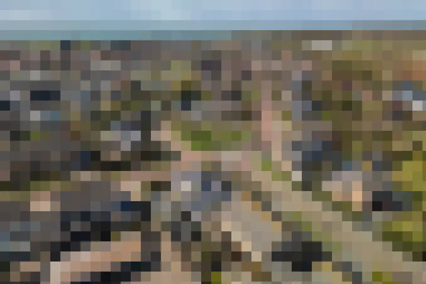Swaalingestraat 91 Zoutelande thumbnail 4
