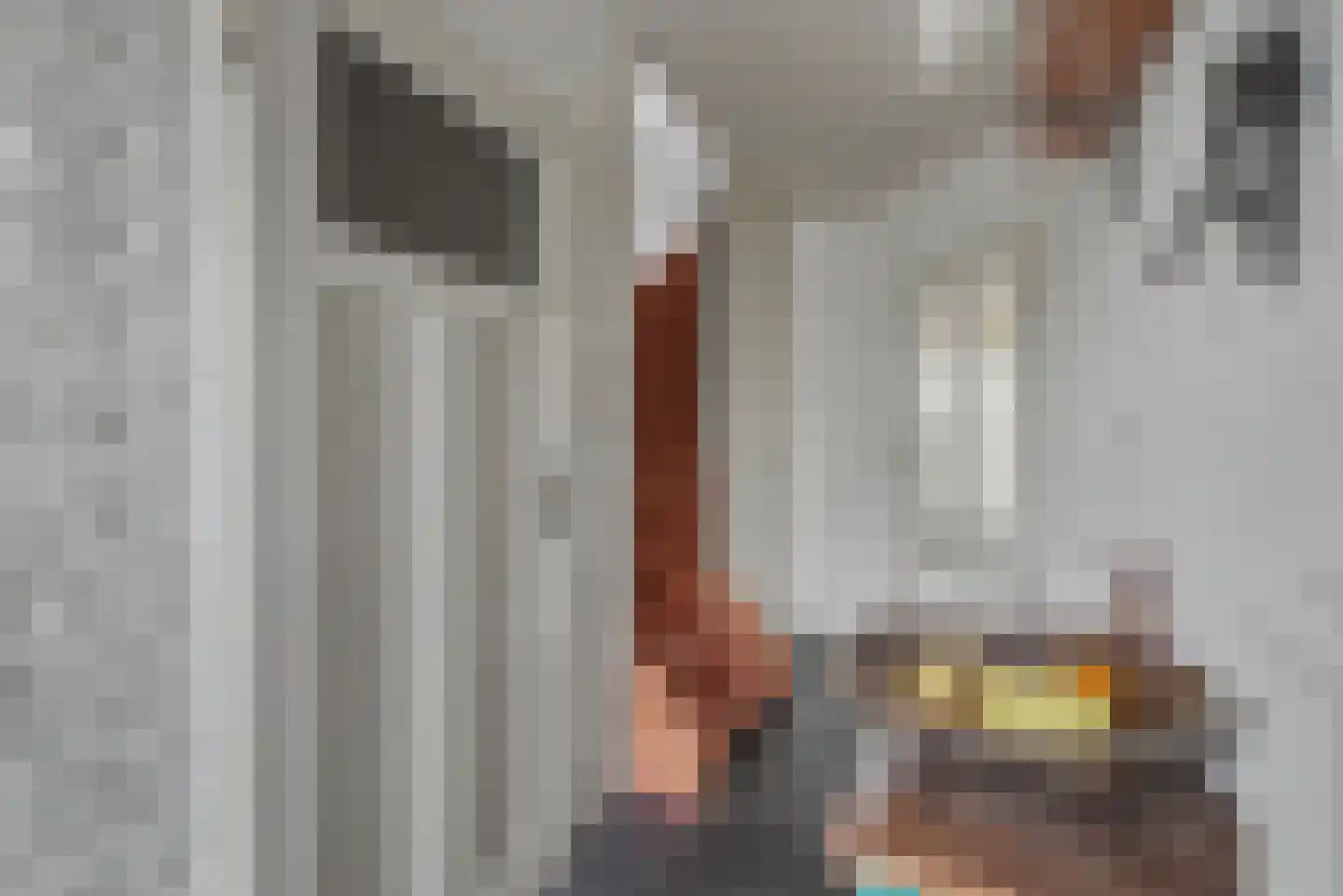 Swaalingestraat 91 Zoutelande thumbnail 5