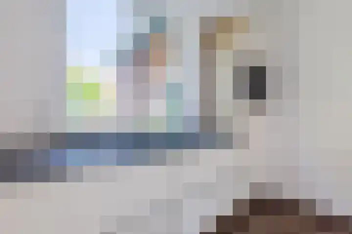 Swaantjesweg 2 A Echt thumbnail 17