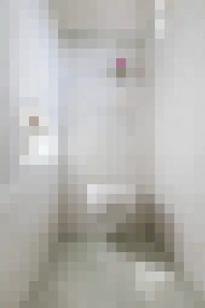 Swaantjesweg 2 A Echt thumbnail 23