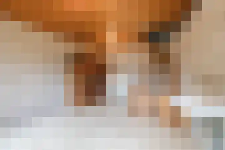 Swaantjesweg 2 A Echt thumbnail 26