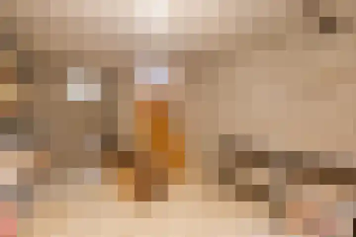 Swaantjesweg 2 A Echt thumbnail 28