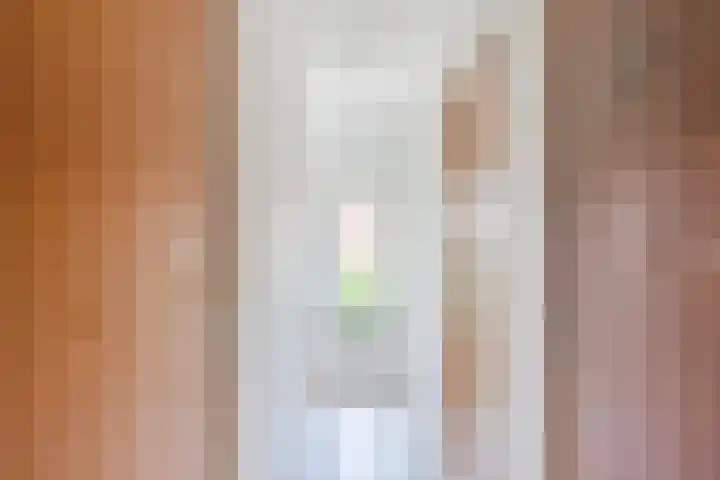 Swaantjesweg 2 A Echt thumbnail 29