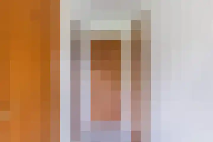 Swaantjesweg 2 A Echt thumbnail 30