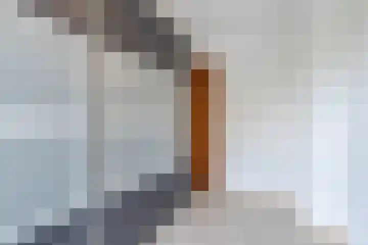Swaantjesweg 2 A Echt thumbnail 36