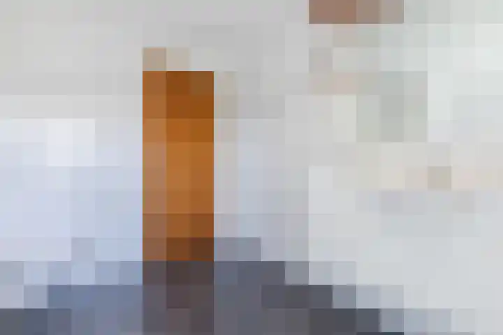 Swaantjesweg 2 A Echt thumbnail 38