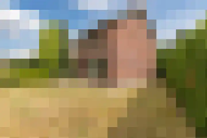 Swaantjesweg 2 A Echt thumbnail 4