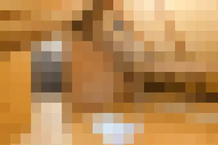 Swaantjesweg 2 A Echt thumbnail 44