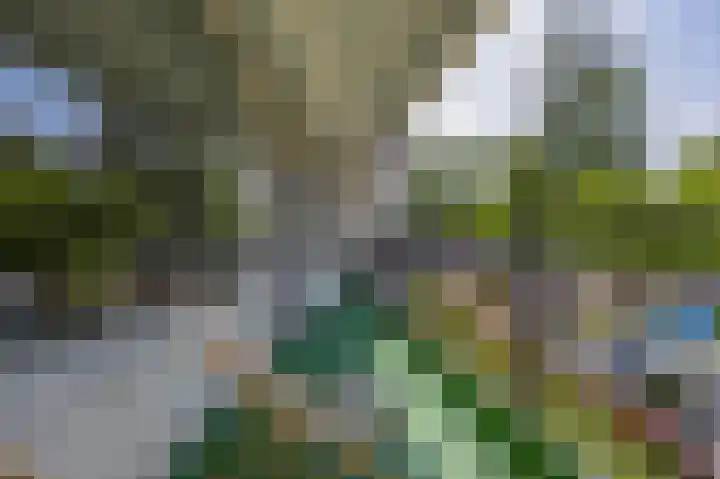 Swadenburg 16 Gouda thumbnail 22