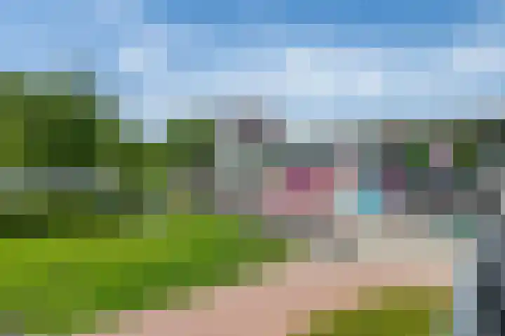 Swadenburg 16 Gouda thumbnail 24