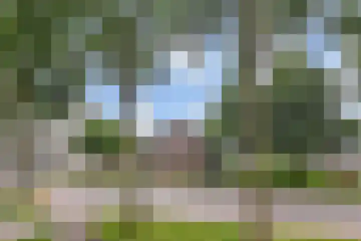 Swadenburg 2 Gouda thumbnail 27