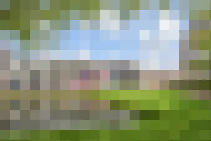 Swadenburg 2 Gouda thumbnail 28