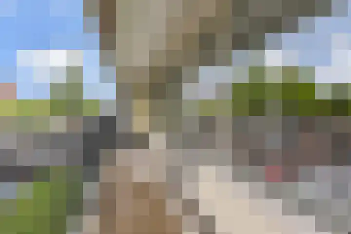 Swadenburg 2 Gouda thumbnail 5
