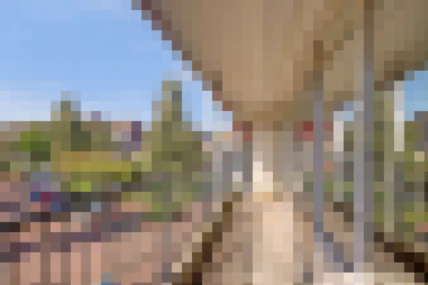 Swadenburg 22 Gouda thumbnail 18