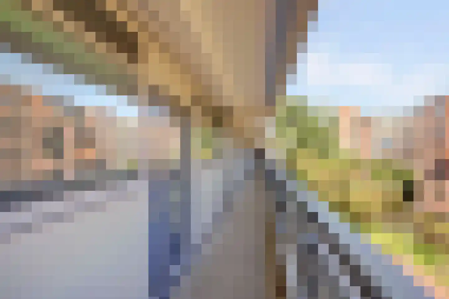 Swadenburg 22 Gouda thumbnail 23