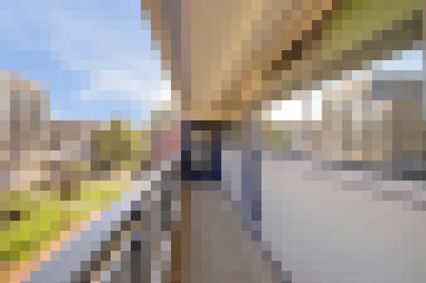 Swadenburg 22 Gouda thumbnail 24