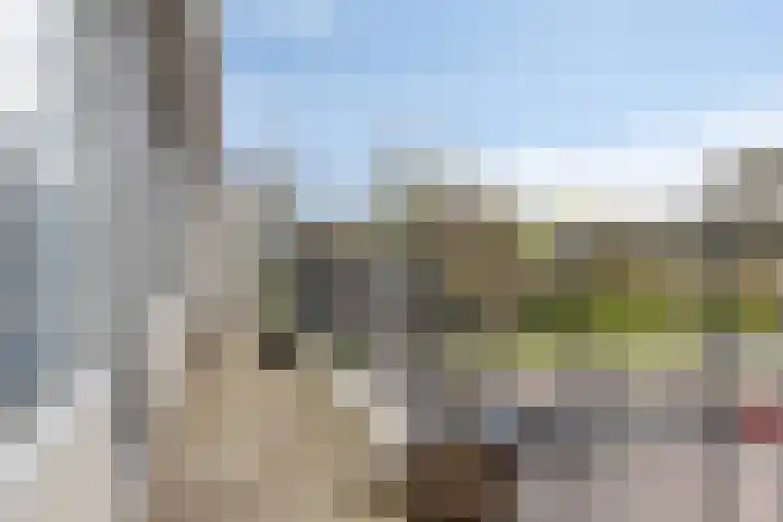 Swadenburg 36 Gouda thumbnail 24